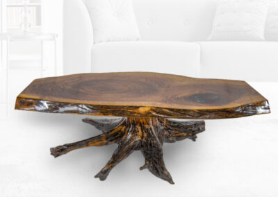 unique furniture coffee table